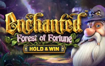 Instant Casino Enchanted Forest of Fortune Hold Win